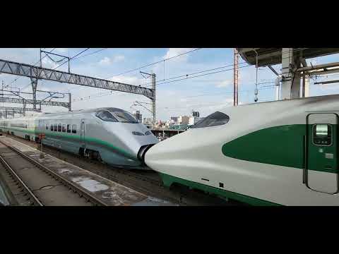 やまびこ142号+つばさ142号 東京行 E2系1000番台(幹ｾｼ)J66編成[200系新幹線リバイバルカラー]+E3系2000番台(幹カタ)L65編成[銀のつばさ]　大宮駅14番線入線シーン
