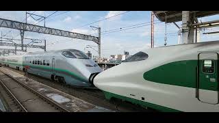 やまびこ142号+つばさ142号 東京行 E2系1000番台(幹ｾｼ)J66編成[200系新幹線リバイバルカラー]+E3系2000番台(幹カタ)L65編成[銀のつばさ]　大宮駅14番線入線シーン