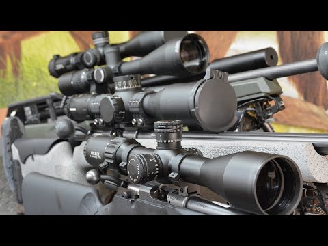 What Is A Picatinny Mount