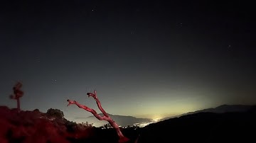 Starry Night Sky Sleep Video | Milky Way over Joshua Tree | Calming Nature Sounds