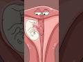 Is this baby living in a partitioned room? What's going on?#shorts
