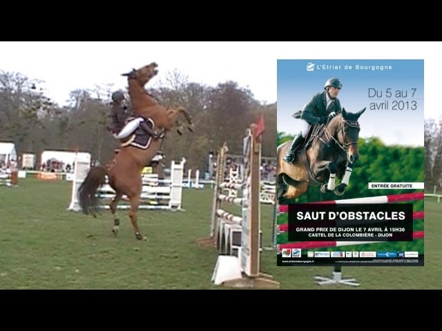 Étrier équitation, Bourgogne-Franche-Comté