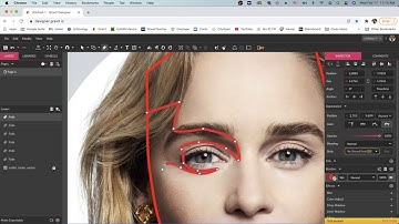 Vector Portrait – Part 3 // Shadows, Highlights, & Midtones