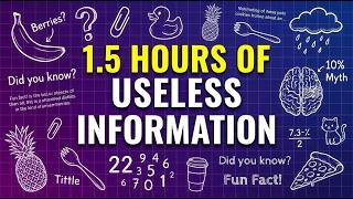A Solid 1.5 Hours of Useless Information to Fall Asleep To 😴