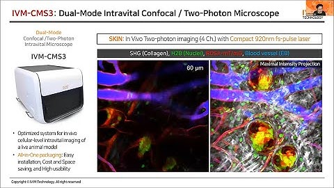 (EN) In Vivo Cellular-level Imaging of Internal Organs in a Live Animal by Dr Pilhan Kim, CEO
