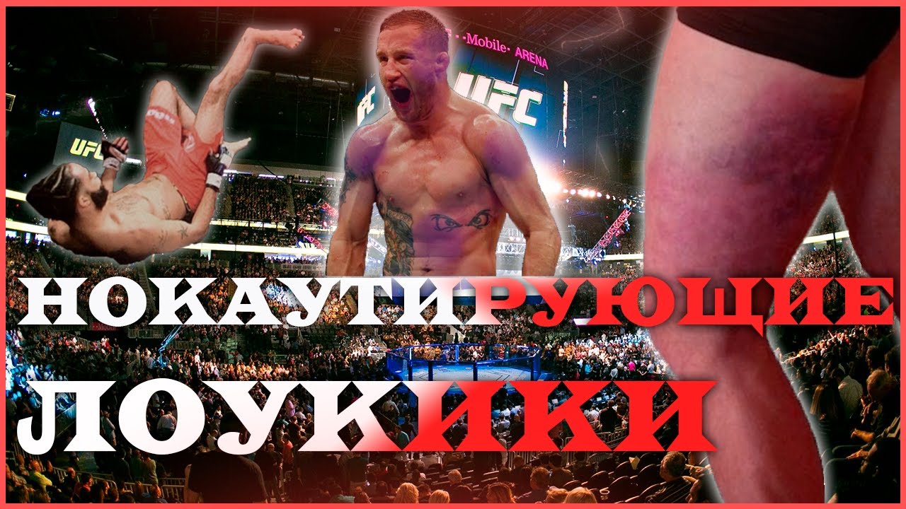 ������� �6 � ���������: ����.