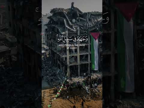 أجعلتم سقاية الحاج وعمارة المسجد الحرام كمن آمن بالله سورة التوبة سعد الغامدي