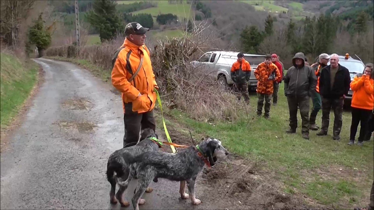 concours chien rapprocheur rhone