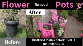 Patio Plastic Flower Pots | How to clean and renew by painting your plastic Pots in 15 mins  DIY