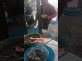 #Pananghalian #shortvideo