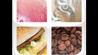 Close Up Pics - Level 1 Answers Content