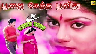 Download Lagu Poojai Ketha Poovithu K S Chithra Sung 4k -Video Song | Ilaiyaraaja |பூஜைகேத்த பூவிது | Raja Ranjini MP3
