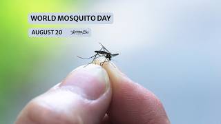 WORLD MOSQUITO DAY | August 20