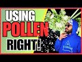 Do not use or store plant pollen until you watch this