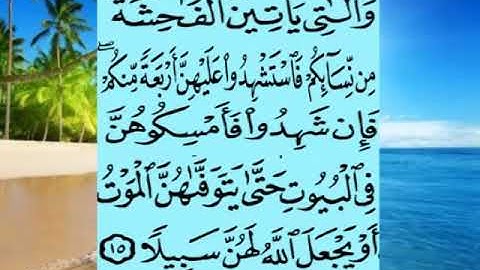 سورة النساء اية ١٥ جمال القرش