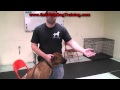 How to Clean Dog Ears - Tips From the Dog Training Guys (k9-1.com)