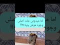 علت وجود موش در خانه