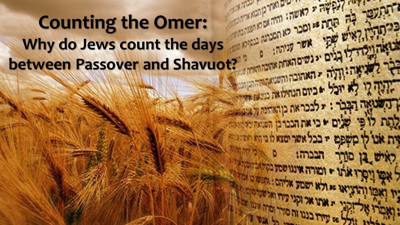 Counting the Omer Why do Jews count the days between Passover and