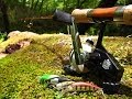北海道の渓流でルアー釣り☆高活性のブラウントラウトパラダイス