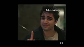 Bir Derdim Var Artık-Ferit Içapkını