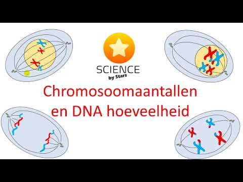 Video: Hoeveel chromosomen zijn betrokken bij duplicatie?