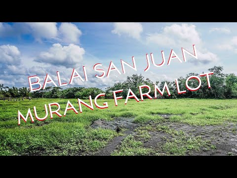 Murang Lupa sa