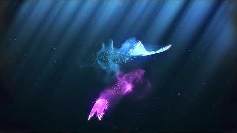 Butterfly logo intro HD 🔴 444