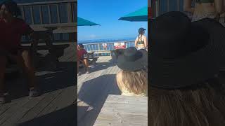 Swimming With Pigs In Berry Island Bahamas