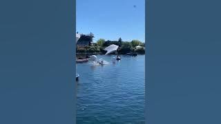 Flugtag Canada crazy moment #shorts