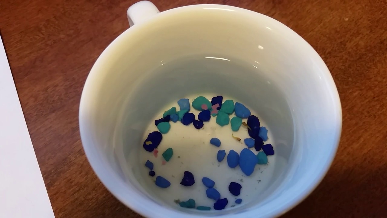 Platy fry baby fish YouTube