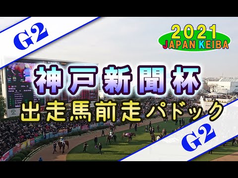 【競馬パドック】神戸新聞杯・前走パドック（2021年）
