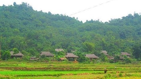 Đám cưới  ở Tày Lâm Thượng- Lục Yên