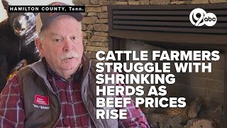 Interview: Tennessee farmer one of many struggling as beef prices hit historic highs