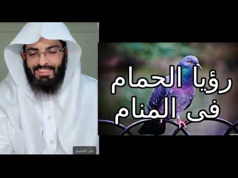 رؤيا الحمام في المنام تفسير الأحلام تفسير احلام تفسير رؤيا قصص حكايات روايات حكيات النساء