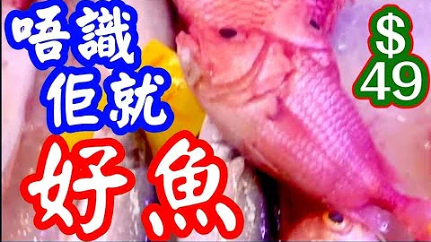 Steam crown squirrelfish - 天天要聞
