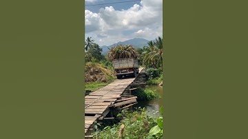 Aksi Sopir Truk Bikin Bingung, Mundur di Jembatan Kayu! (simulasi AI)