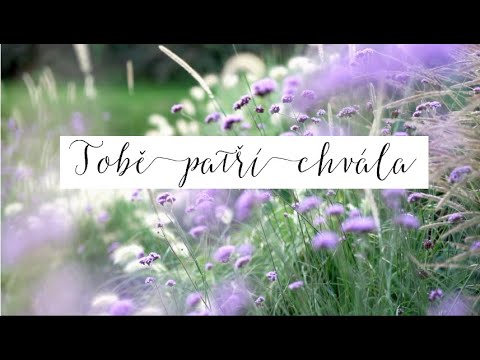 Tobě patří chvála