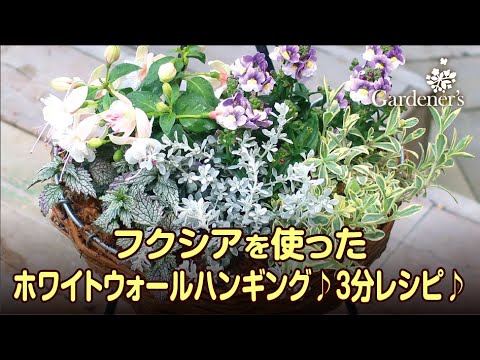 ハンキングバスケットの作り方とは 上手な寄せ植えの植え方や吊るし方まで解説 暮らし の