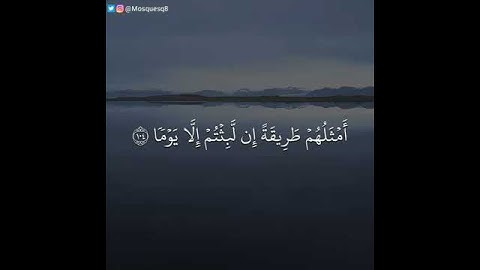 ||سورة النساء|| للقارئ: ياسر الدوسري