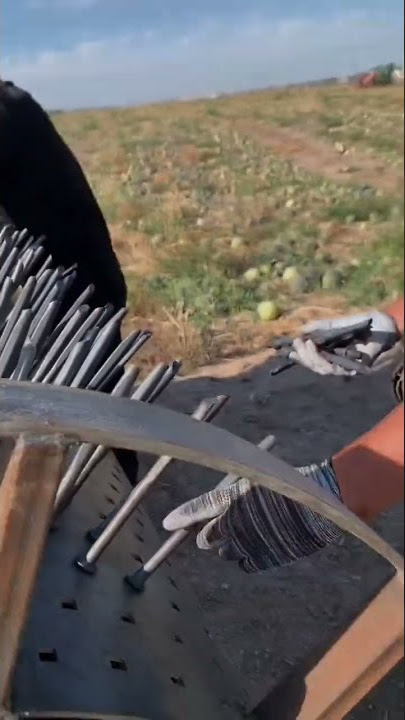 Hot sexy Asian beauty || Top Asian bikini model girls | Hot Asian girls | #tiktok #BTS #ASMR #music