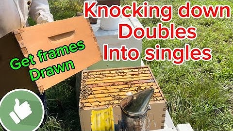 Beekeeping | doubles to single brood box management | make your bees work for you | drawing comb