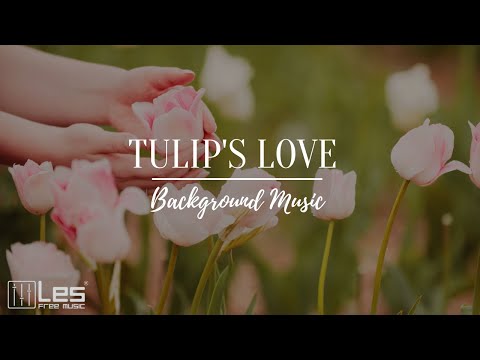 Tulip S Love Acoustic Indie Sad Nostalgic Background Music 