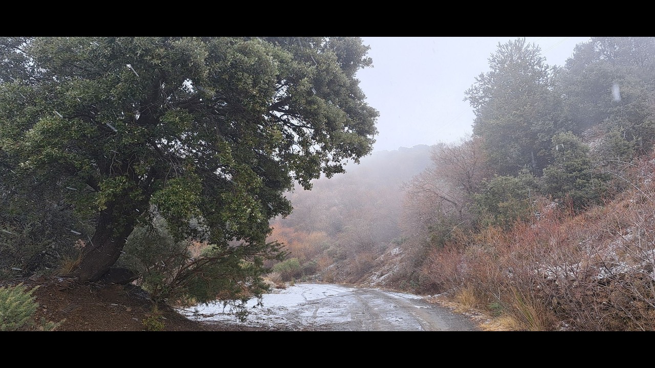 Cibus terrae - Fragmento nº 030226 - Ramón Sánchez (music video)