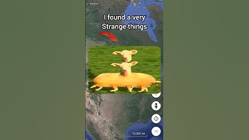 I found a very strange thing on Google Maps 😱🌎 | #earth616 #ddgoogleearth #googlemaps #shots #maps