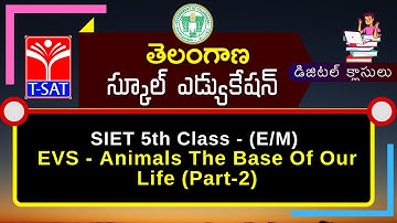 SIET : 5th class (E/M) || EVS - Animals The Base Of Our Life (Part-2)  || 01.04.2021
