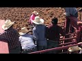 WMAT BULL RIDING