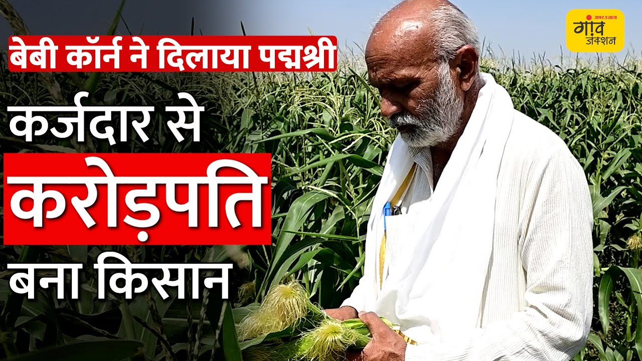 खेती के इस मॉडल से 10 करोड़ का टर्नओवर | #Farming #Agriculture #babycorn