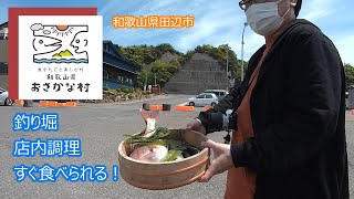 和歌山おさかな村 初心者が釣り堀からの爆釣 Youtube 和歌山おさかな村 初心者が釣り堀からの爆釣 Youtube