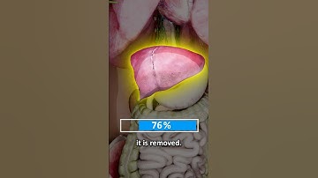 The Human Organ That Regenerates! 😱