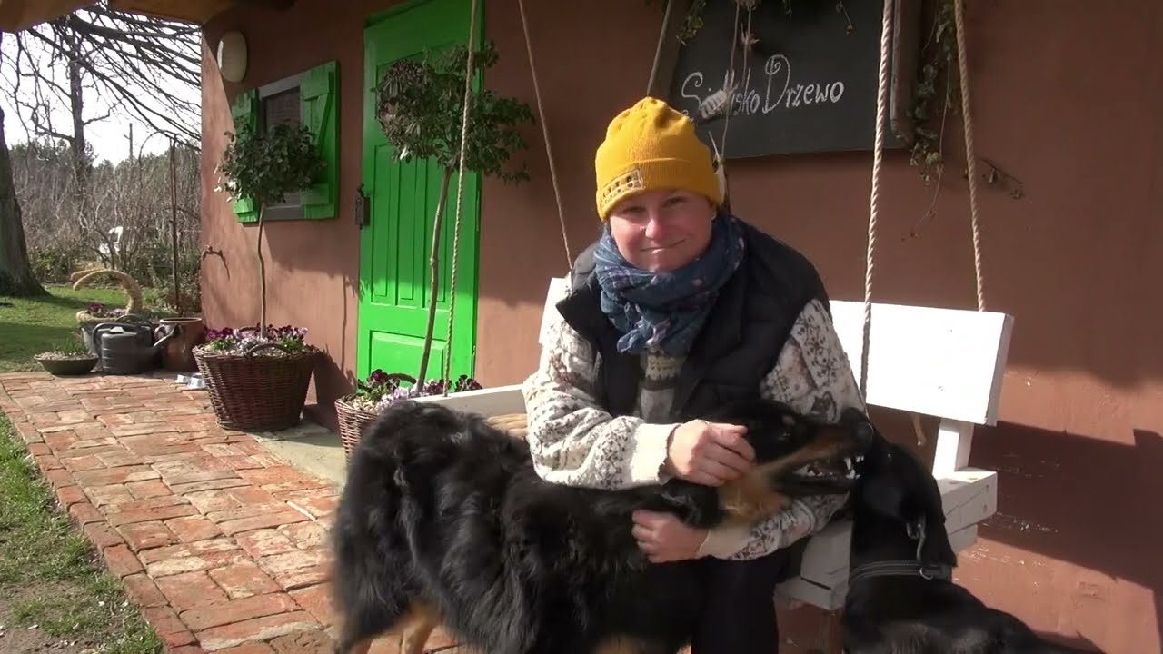 Dekoracja Wielkanocna w donicach.